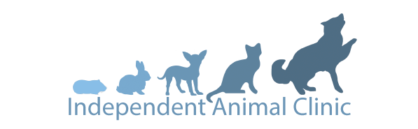 Independent Animal Clinic